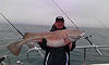january 2012 report no 5