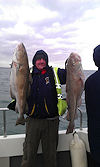 january 2012 report no 8