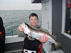 March 2012 report no 1