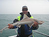 March 2012 report no 11