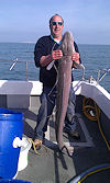 March 2012 report no 6
