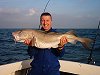 cod fishing no 4